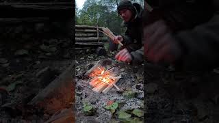 🏕️ Endlich mal wieder Feuer 🔥 Ich liebs  bushcraftdeutschland bushcraftcamp biwak [upl. by Georgiana397]