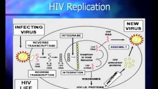 Basic Course in HIV  Pathophysiology and Natural History of HIV Infection [upl. by Lennad]