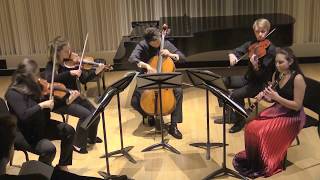 Weber Clarinet Quintet in Bb Major Op34  Cristina Mateo Sáez [upl. by Kadner]