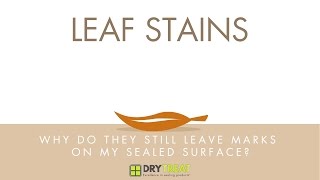 Porous Materials  Common Problems Leaf Stains [upl. by Carnes]