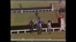 1986 Arkle Challenge Trophy Chase [upl. by Ronn982]