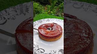 Caramel Custard  Creme Caramel Recipe  How to Make Caramel Pudding [upl. by Eibbor]