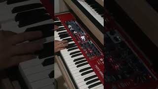 Timbre de piano eletrico no Nord electro 6d nord [upl. by Llenrap]