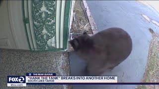 Hank the Tank Tahoe bear breaks into another home [upl. by Yenruogis]