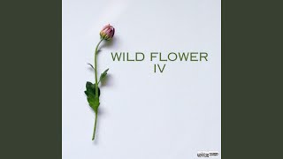 Wild Flower 4 [upl. by Stagg]