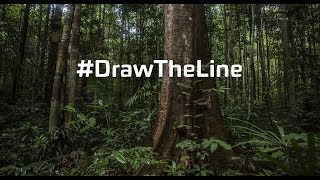 Draw the Line  VR [upl. by Hashimoto]