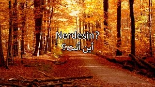 أغنية تركية حزينة روعة مترجمة  Linet  Eylül Akşamı  Arabic Translation [upl. by Innej]