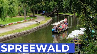 10 Orte im SPREEWALD die Du sehen solltest [upl. by Nisen212]