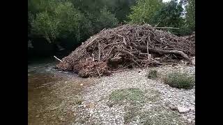 El río Arga muy descuidado a su pasó por la Rocha aytopamplona TxemaDobarro [upl. by Ayimat]