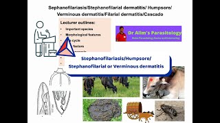 Hump sore in cattle morphology pathogenesis risk factors life cycle diagnosis amp treatment AZ [upl. by Nail]