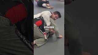 Joe Rogans Revolutionary Jiu Jitsu Trainer [upl. by Yug631]