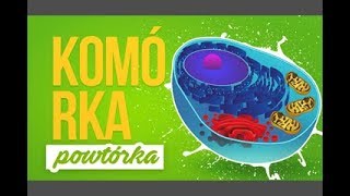 Komórka  Błona komórkowa i ściana komórkowa  Powtórka z biologii [upl. by Sheya]