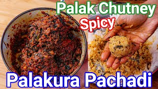 Palak Ki Chatni  Palakura Pachadi Andhra Style  Multipurpose Spinach Chutney for Rice Idli amp Dosa [upl. by Ttreve]