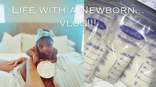 Home and Newborn Vlog Day in the Life with a Newborn Placenta Capsules Boba Baby Wearing [upl. by Malena959]