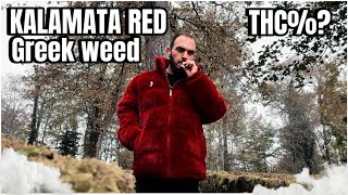 ΜΕΤΡΗΣΗ THC ΚΑΙ REVIEW KALAMATA RED  vlog FreiburgTitisee [upl. by Kahl688]