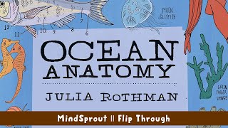 OCEAN ANATOMY  Julia Rothman Collection  Book Flip Through [upl. by Ailuig771]