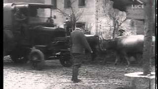 Archivio Luce  Documentazione Cinematografica della Prima Guerra  Clip 1 [upl. by Alywt]