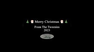 Merry Christmas From the Tweenies 2023 [upl. by Hekker]