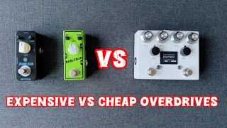 Browne Amplification The Protein VS Mooer Blues Crab  Tone City Nobleman Comparison 🔥 [upl. by Ettenrahs]