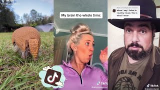 Armadillos Keep Digging Little Holes in My Backyard  Derek McDaniel  TikTok Song Reaction [upl. by Cirilo552]