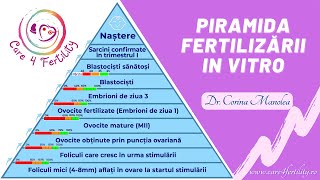 Piramida Fertilizării In Vitro [upl. by Eessac207]