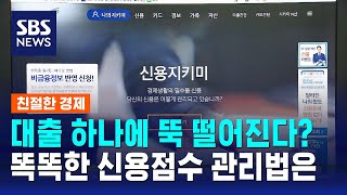 대출만 내도 신용점수 떨어진다고…똑똑한 신용점수 관리법은  SBS  친절한 경제 [upl. by Ethbinium54]