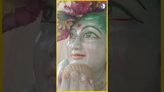 बाल मुकुंदष्टकम  Bala Mukundashtakam With Lyrics  Lord Krishna Status shorts [upl. by Clevie]