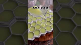 Amla cubes can store upto 1 year amla amlarecipe healthyrecipes hairfallsolution glowingskin [upl. by Eeldivad]