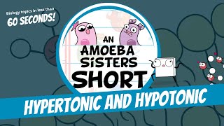 Hypertonic and Hypotonic  Amoeba Sisters Shorts [upl. by Torres363]