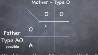 Punnett Square to determine possible blood types [upl. by Jac256]