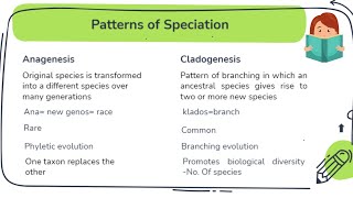 Anagenesis vs Cladogenesis Patterns of speciation [upl. by Rajiv]