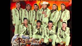 Banda Pajarillos MusicalVolar A Mi Lado [upl. by Stelle]