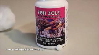 Fish Zole Metronidazole 250 mg Fish Antibiotic [upl. by Oriana]