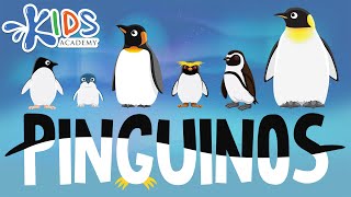 EL PINGÜINO 🐧 Animales para niños ❄️ Episodio 2 [upl. by Isadora]