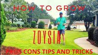 Zoysia  Pros Cons Tips and Tricks [upl. by Assek920]