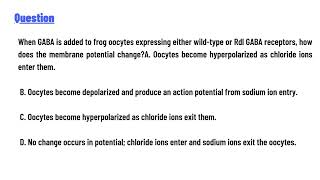 quotWhen GABA is added to frog oocytes expressing either wildtype or Rdl GABA receptors [upl. by Adnauqaj211]