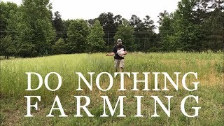 Do Nothing Farming and Other Stuff [upl. by Vange]