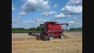 Case ih 2388 cutting wheat 2009 [upl. by Alby77]