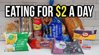 Eating for 2 a Day Cheap and Healthy Meal Ideas You Need to Try [upl. by Burtie818]