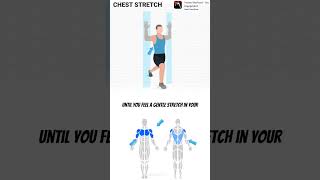 CHEST STRETCH fitness workout fullbodyworkout homeworkout execrise fit shorts gym [upl. by Derfla857]