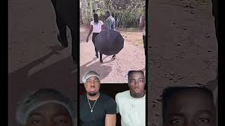 funny comedyvideos challenge memeschallenge funnyshorts laugh subscribe [upl. by Tavis]