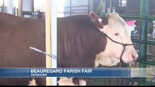 94th annual Beauregard Parish Fair jampacked with festivities [upl. by Derrej]