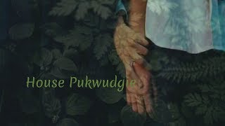 House Pukwudgie The Heart [upl. by Zaslow481]