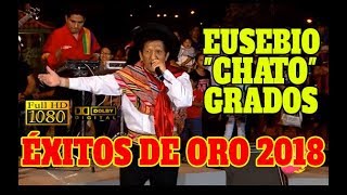 EUSEBIO quotCHATOquot GRADOS  MEJORES ÉXITOS DE ORO 2018  CONCIERTO EN VIVO  SONIDO FULL HD 4K ✔ [upl. by Bernardi]