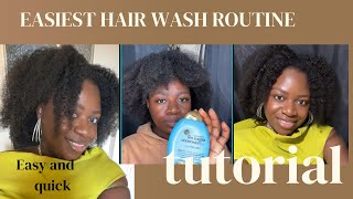 Easiest wash day routine everNo breakage no tangling 4c wash hair routine washhair naturalhair [upl. by Abey]