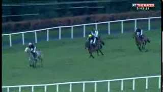 PreCheltenham 2014 Leopardstown gallops part one [upl. by Hallagan]