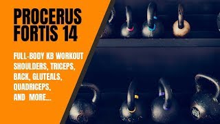 Procerus Fortis 14 Minute Perfect Kettlebell Workout [upl. by Eeniffar731]