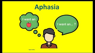 Aphasia Types of aphasia Classifiication of aphasia Wernickes  Brocas aphasia Global aphasia [upl. by Adaj764]