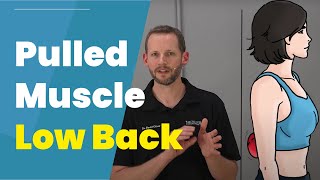 Pulled Muscle In Low Back 3 DIY Treatments [upl. by Bonine]