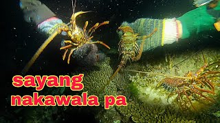 ep346banaga sayang malaki na sana night spearfishing Philippines [upl. by Larochelle]